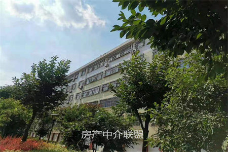 二马路设计家属院3室2厅1卫105m245万